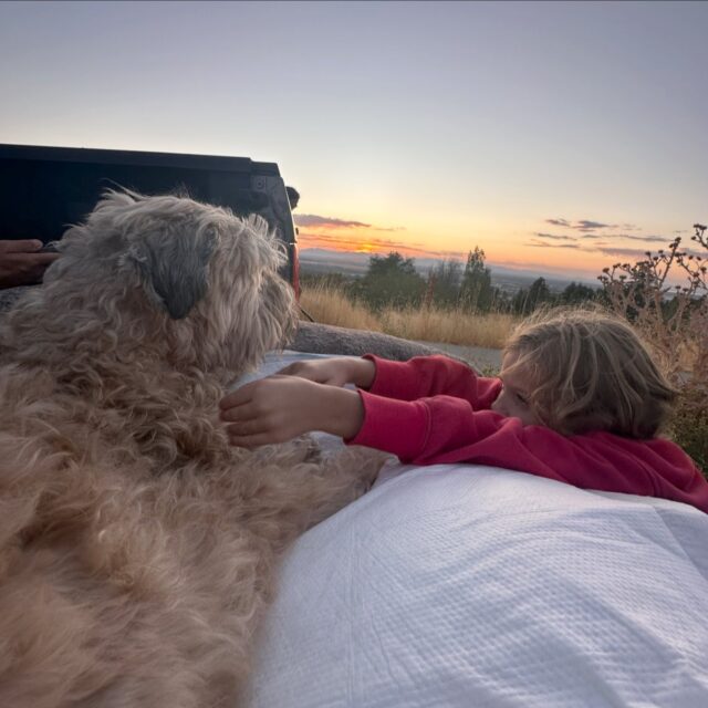 💔 Taog’s last sunset…